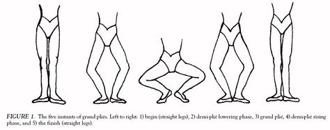 Knee Rotation in Classical Dancers during the Grand Plié - By Donna Krasnow Pre Pointe, York University Toronto, Dance Conditioning, Ballet Plie, Ballet Education, Ballet Tips, Conditioning Exercises, Ballet Books, Dance Film