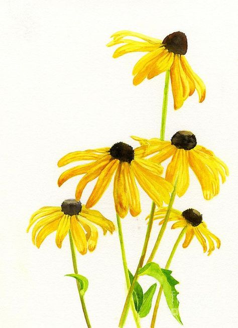 Realistic Flower Drawing, Yellow Flowers Painting, Black Eyed Susans, Easy Flower Drawings, Watercolor Flower Art, 수채화 그림, Watercolor Artists, Watercolor Flowers Paintings, Yellow Art