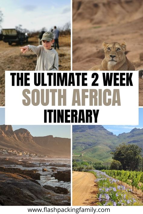 South Africa Destinations, South Africa Road Trips, East Africa Travel, South Africa Itinerary, Cape Town Itinerary, South Africa Travel Guide, Africa Itinerary, South Africa Safari, Epic 2