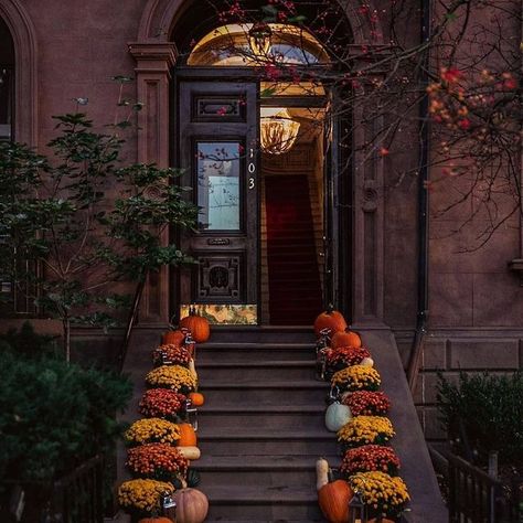 Seasonal_Witch (@seasonal_witch) • Instagram photos and videos Fall Front Yard Decorations, Front Porch Fall Decor Ideas, Boston In The Fall, Porch Fall Decor, Front Porch Flowers, Fall Front Door Decor, Fall Front Porch Decor Ideas, Fall Front Porch Ideas, Front Porch Decor Ideas