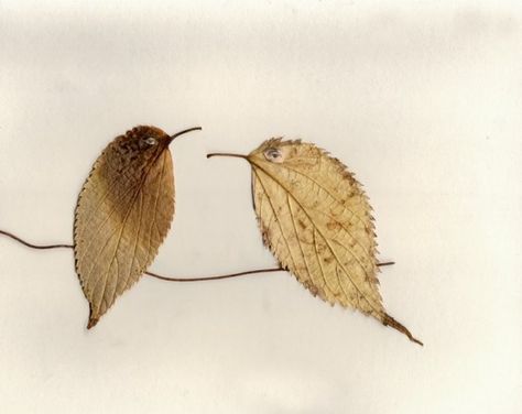 birds made from leaves. Should be nice as a greeting card and ideal for autumn Stary Papier, Dry Leaf Art, Illustration Kunst, Pressed Flower Crafts, Deco Nature, Leaf Crafts, Pressed Flower Art, Dry Leaf, Nature Crafts