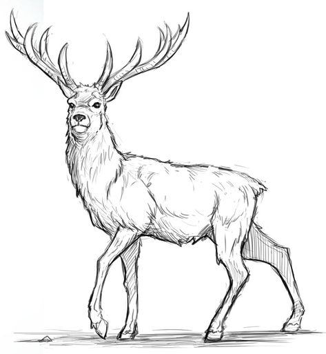 Deer Drawing Simple, Deer Drawing Easy, Draw A Deer, Elk Drawing, Reindeer Drawing, Deer Sketch, Deer Drawing, Character Design Cartoon, 7 Sins