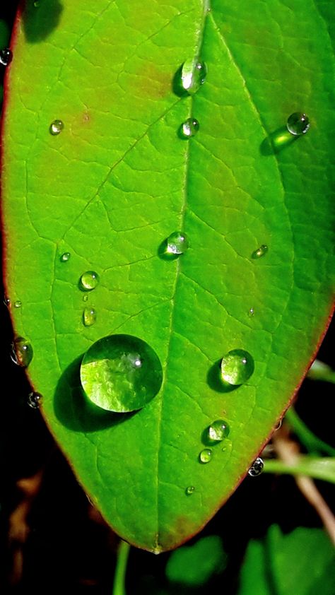 Water Drawings Pencil, Waterdrop Painting, Color Markers Art, Water Drop On Leaf, Water Drop Drawing, Beautiful Paintings Of Nature, Water Drop Photography, Acrylic Art Projects, Bubble Painting