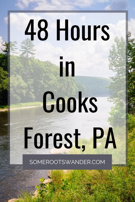 Take a weekend camping trip to Cook Forest, Pennsylvania! Float down the Clarion river, go fishing in Tom's Run and take a hike through the beautiful pine forest cathedral and more! Click now to plan your perfect weekend get away in nature. Cooks Forest Pennsylvania, Forest Cathedral, Weekend Camping Trip, Forest Camp, Weekend Camping, Lifestyle Board, Morning Gif, Take A Hike, Going Fishing