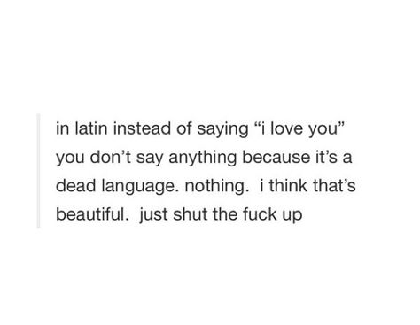 Latin love I Love You In Latin, Love Stupidity Quotes, Latin Love Quotes, Latin Quote Tattoos, Latin Quotes, You Dont Say, Say Anything, Say I Love You, I Tried