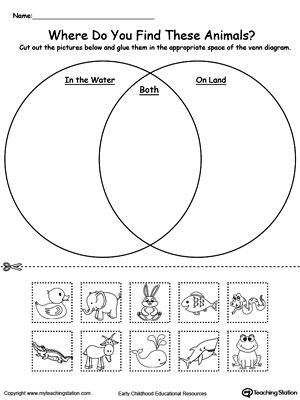 **FREE** Venn Diagram Animals In Water And On Land Worksheet.Practice sorting items into groups based on attributes by using this Venn Diagram printable worksheet and help your child strengthen their sorting and reasoning skills. Where do you find these animals, in water? on land? or both? Venn Diagram Printable, Animal Classification Worksheet, Venn Diagram Worksheet, Subtraction Kindergarten, Venn Diagram Template, Animal Classification, Kindergarten Worksheets Free Printables, Animal Worksheets, Preschool Math Worksheets