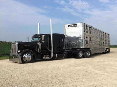 Peterbilt Conventional Bull Hauler Cattle Haulers Trucks, Bull Haulers Trucks, Raider Klan, Bull Hauler, Cattle Trailers, Cattle Trucks, American Trucks, Custom Big Rigs, Peterbilt 379