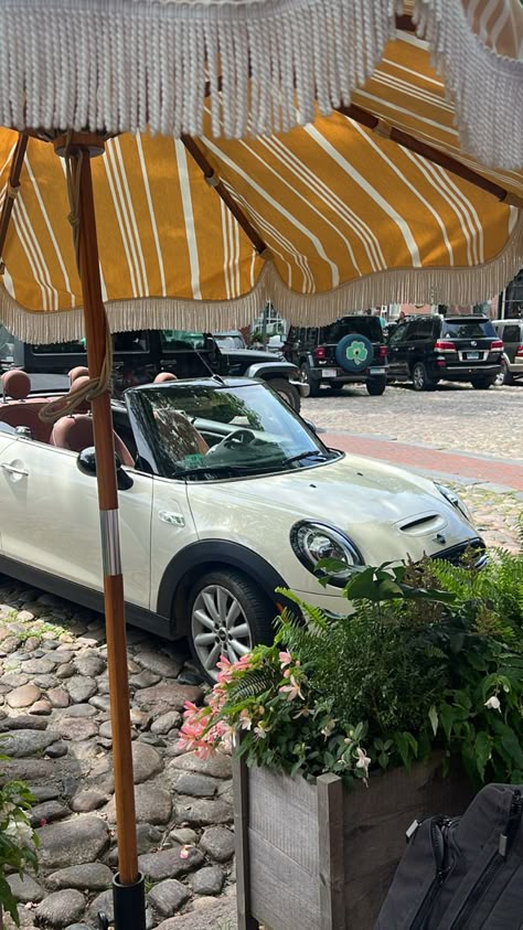 Mini Aesthetic, Mini Auto, Minicooper Mini Coopers, Cute Mini Cooper, Mini Convertible Aesthetic, Mini Cooper Cabrio, Aesthetic Mini Cooper, Mini Cooper Aesthetic, Mini Cooper Aesthetic Interior