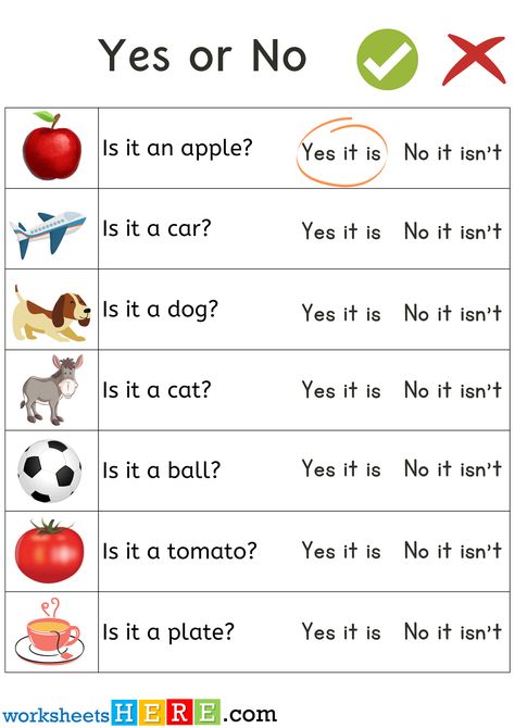 Yes Or No Questions For Kids, Yes No Questions Worksheet, Yes And No Questions, Farm Activities Preschool, Yes No Questions, Nursery Worksheets, Nanak Jayanti, Worksheets For Class 1, English Grammar For Kids