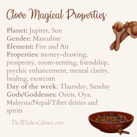 What are the clove magical properties and how do we use them in our magic and kitchen witchcraft? Find out here! Rowan Magical Properties, Cayenne Magical Properties, Cocoa Magical Properties, Clove Incense Meaning, Chives Magical Properties, Hazelnut Magical Properties, Sulfur Magical Properties, Cloves Meaning Witchcraft, Cloves Spiritual Uses