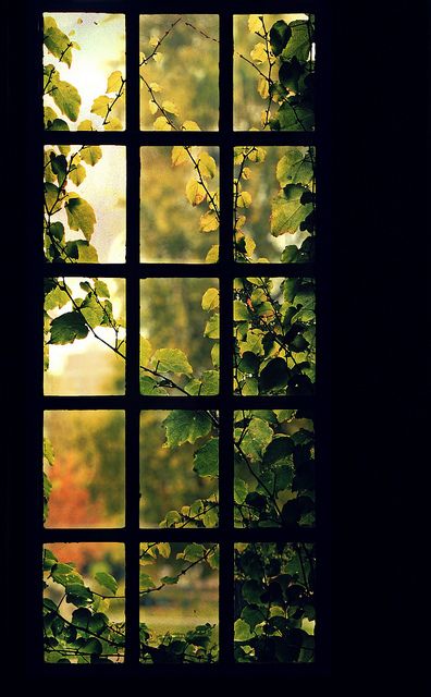 The view from U of Toronto's Hart House isn't very conducive to studying.  :) From Lemur@Flickr Hart House, An Open Window, Fake Window, Looking Out The Window, Beautiful Windows, Window View, Open Window, Through The Window, Architecture Details