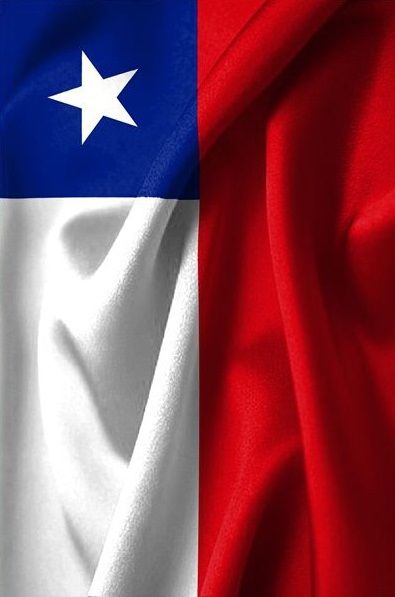 Chile bandera flag Texas State Flag, America Latina, Texas State, Jonas Brothers, State Flags, Texas, Flag, Bar, History