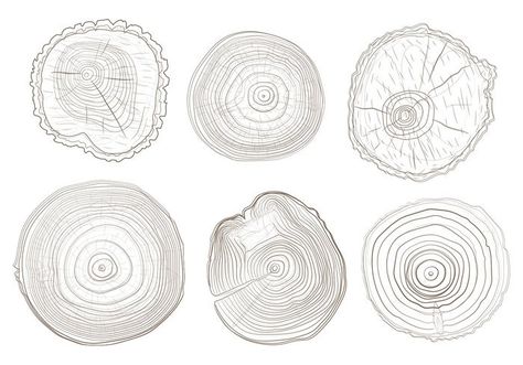 Tree Ring Vectrs Infographic Creative Design, Ring Vector, Tree Logo Design, Wood Logo, Vector Trees, Tree Ring, Tree Logos, Tree Rings, Photo Collage Template