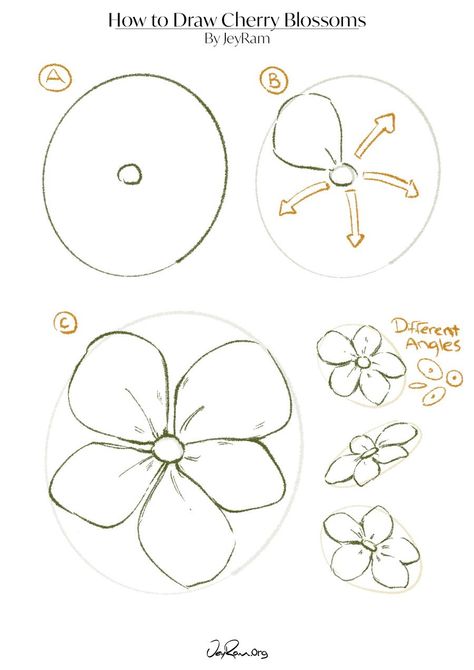 In this diagram I explain how to combine 5 of the cherry blossom petals to create a full flower. We also touch on how to draw guidelines to make this easier How To Draw Designs, Flower Basic Drawing, How To Draw Petals, Cherry Blooms Drawing, Cherry Blossom Flower Drawing, Flower Drawing Sketches, Cherry Blossom Drawing Simple, Flower Tutorial Drawing, How To Draw Cherry Blossoms