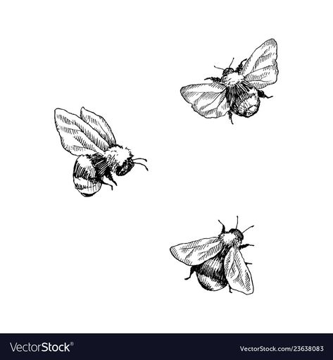 Bumble Bee Sketch Simple, Bumblebee Tattoo Black And White, Fineline Bumblebee Tattoo, Bumblebee Tattoo Design, Black And White Bee Tattoo, Bee Tattoo Black And White, Flying Bee Tattoo, Bumblebee Sketch, Bumblebee Tattoos