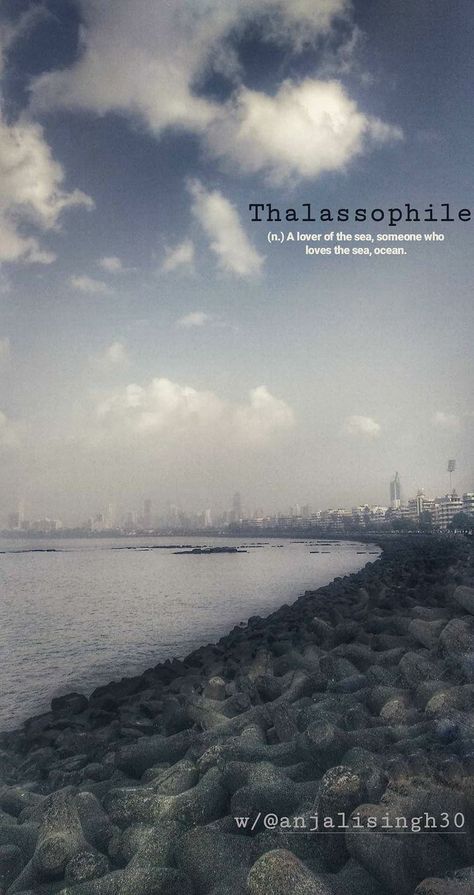 Marine Drive, Mumbai #mumbaimerijaan Marine Drive Quotes, Marine Drive Captions For Instagram, Marine Drive Captions, Marine Drive Snap, Driving Quotes, Marine Drive, Silhouette Photography, Insta Stories, Animal Videos