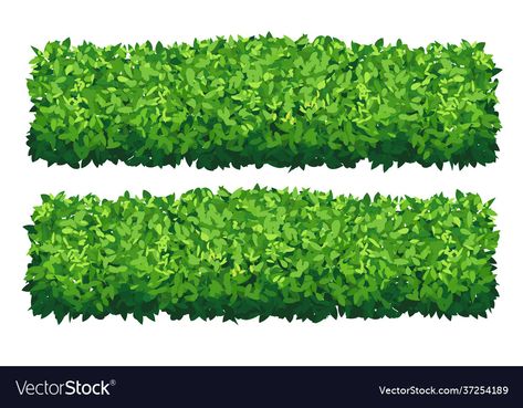 Hedge Illustration, Grass Bushes, Bush Drawing, Vector Garden, Hedges Landscaping, Cartoon Grass, How To Trim Bushes, Elf Drawings, Box Hedging