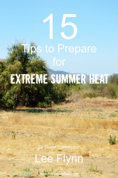 With summer underway, these 15 tips to prepare for extreme summer heat will help you and your family manage the heat wave. Extreme Heat Outfits, Extreme Heat, Summer Is Here, Beat The Heat, Guest Posting, Summer Heat, Guest Post, The Heat, Heat