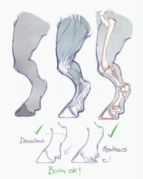 Creature Drawings, Anatomy Drawing, Dessin Adorable, Creature Concept Art, Anatomy Reference, Animal Sketches, 판타지 아트, Anatomy Art, Art Tutorials Drawing