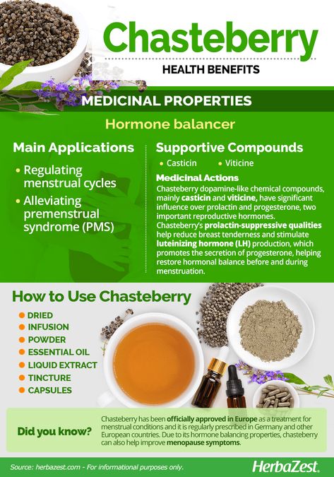 Chaste Tree Berry Benefits, Chaste Tree Benefits, Chasteberry Benefits, Learning Herbs, Benefits Of Berries, Chaste Tree, Herbal Store, Hormone Balancing, Medicinal Herbs