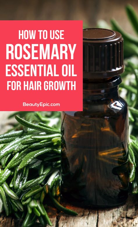 Rosemary Essential Oil For Hair, Essential Oil For Hair, Rosemary Oil For Hair Growth, Oil For Curly Hair, Coconut Oil Hair Growth, Thick Hair Remedies, Rosemary Oil For Hair, Rosemary Essential Oil, Oil For Hair Growth