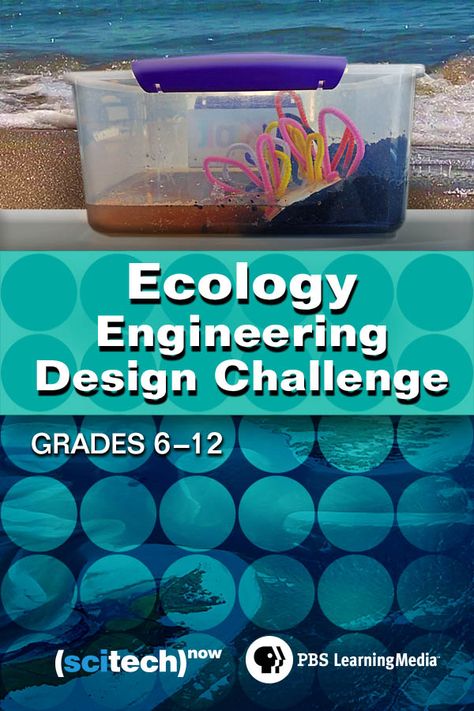 Environmental Science Lesson Plans, Environmental Science Lessons, Biology Ideas, Teach Ag, Ag Science, Engineering Design Challenge, Makers Space, Future Educator, Stem Camp