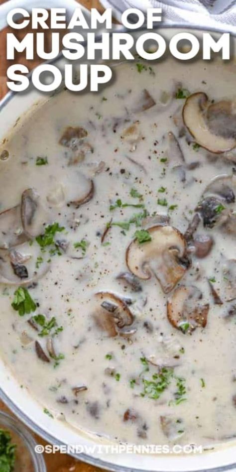 This homemade cream of mushroom soup recipe is an easy versatile recipe! It is great as a base for your favorite tuna casserole or over baked pork chops! Mushroom Soup Gravy Recipe, Best Mushroom Soup, Homemade Mushroom Soup, Homemade Cream Of Mushroom Soup, Homemade Cream Of Mushroom, Easy Gravy Recipe, Mushroom Soup Recipe, Cream Soup Recipes, Creamy Mushroom Soup