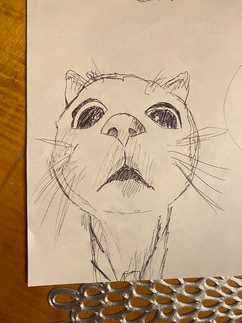 Easy Animal Sketches For Beginners, Cat Sketches Aesthetic, East Cat Drawing, How To Draw Cat Tutorial, Notebook Paper Drawings, Spidercat Drawing, Funky Art Sketches, Silly Cat Painting, Funny Animal Sketches