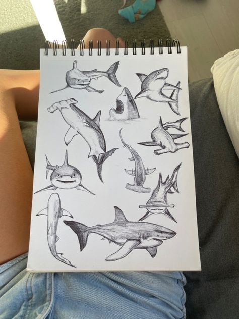 Shark Drawing Color Pencil, Shark Pen Drawing, How To Draw A Lemon Shark, Cool Shark Drawings, Shark Sketchbook Page, Black Tip Reef Shark Drawing, Shark Sketch Drawing, Basking Shark Drawing, Shark Drawing Reference