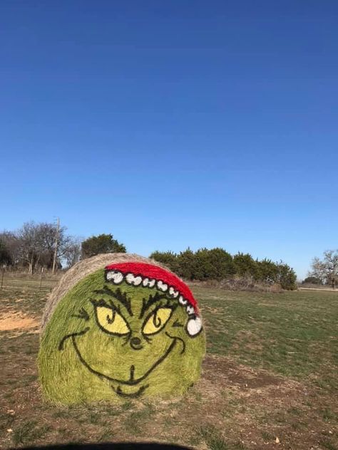 Christmas Haybale Ideas, Grinch Hay Bale, Haybale Christmas Ideas, Round Bales Of Hay Decor, Round Hay Bale Decorating Ideas Christmas, Hay Bale Decorating Ideas Christmas, Christmas Hay Bale Ideas, Hay Bale Art Ideas, Christmas Hay Bale Decor