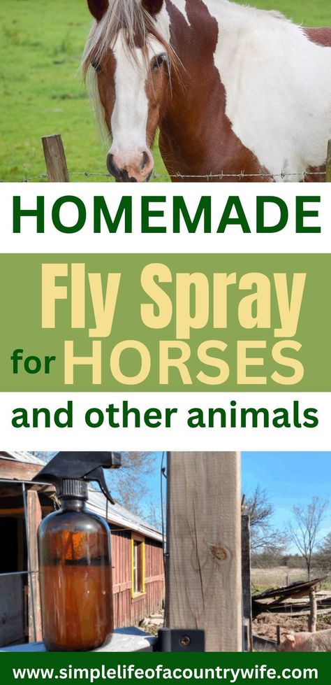 homemade fly spray for horses Fly Spray For Dogs, Fly Repellant Diy, Horse Fly Spray, Homemade Fly Spray, Natural Fly Repellant, Fly Spray For Horses, Bot Fly, Spider Spray, Homestead Animals