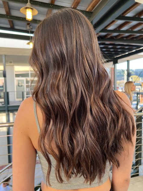 Brunette Dimension Hair, Brunette Highlights 2023, Hair Down To Hips, Brown Hair Balayage Straight Long, Long Hair With Layers Brunette Low Lights, Dark Brown Hair W Brown Highlights, Summer Brown Highlights, Brunette Foil Highlights, Brown Balayage Dimension