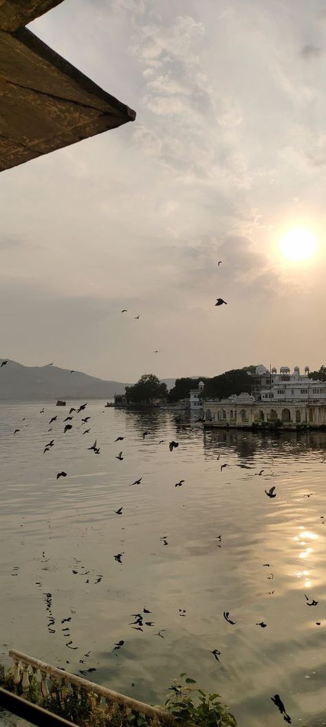 #ganghorghat #udaipur #india #view Taj Palace Udaipur, Ambrai Ghat Udaipur, Udaipur Snap, Udaipur Food, Udaipur Aesthetic, Udaipur India, Amazing Bedroom Designs, Streak Ideas, Snap Ideas