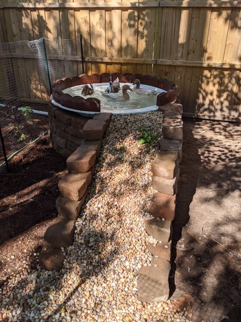 Ducks House Ideas, Chicken Pond Ideas, Rustic Pond Ideas, Home Duck Pond, Garden Duck Pond, How To Make A Small Pond, Mini Duck Pond, Small Duck Pond Ideas, Mermaid Garden Ideas