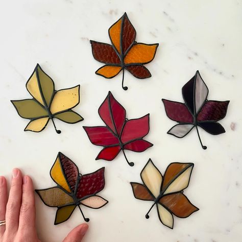 The Maple Leaf collection is live! 🍁 Claim your new favorite piece of Fall decor now before it’s gone. 😉 Link in bio. #mapleleaf #autumnalgoodness Stained Glass Autumn, Stained Glass Fall Patterns, Beginner Stained Glass Projects Simple, Harry Potter Stained Glass Art, Fall Stained Glass Ideas, Simple Stained Glass Designs, Simple Stained Glass Patterns, Oak Leaf Wreath, Stained Glass Fall