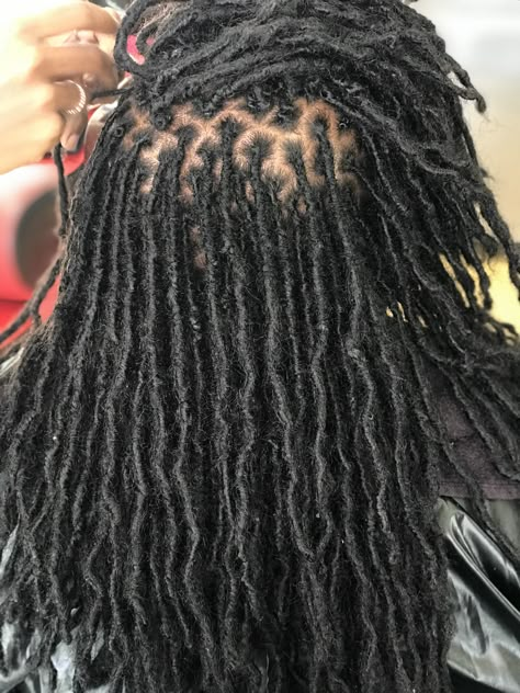 Inner Locks Hair, Small Diamond Part Locs, Small Loc Extensions Permanent, Small Loc Parts, Dreadlock Extensions Black Women, Lock Extensions Dreadlocks, Dread Sizes, Loc Extensions Before And After, Small Dreads Black Women