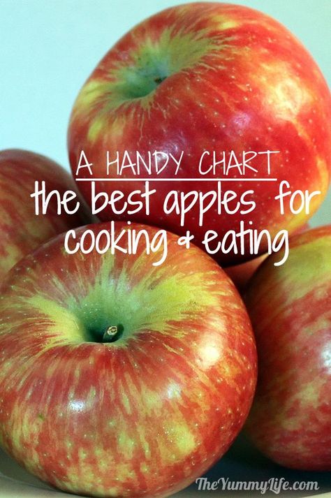 Comparing Apples to Apples -- a chart to help you choose the best ones for eating and cooking! Applesauce and apple butter and apple pie and... lots of apples! :) Best Apples To Eat, Best Cooking Apples, Apple Chart, Canning Jelly, Fruit Sides, Applesauce Recipes, Cooking Charts, Cooking Apples, Apple Facts