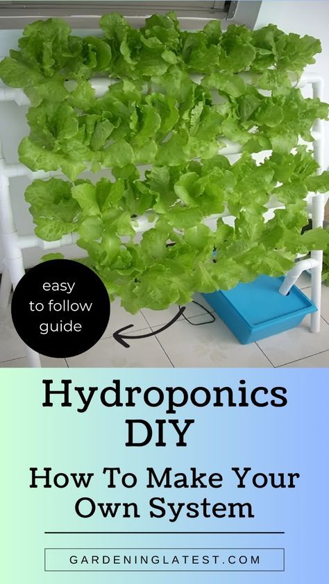 Ready to grow fresh produce all year long? Hydroponics DIY projects can help you build your own efficient and sustainable garden. By understanding water-based growing systems, nutrient solutions, and grow lights, you can achieve a thriving indoor garden without soil. Learn how to set up a hydroponic system using simple materials, create the perfect environment for your plants, and maintain optimal pH levels. Dive into our comprehensive guide on hydroponics DIY and start growing your own fresh vegetables and herbs at home today! Diy Hydroponic Garden Indoor Pvc, Hydroponic Orchid Plants, Diy Vertical Hydroponic Garden, Garage Hydroponic Garden, Small Hydroponics System Diy, Pvc Hydroponics Diy, Diy Hydroponics System Indoor, Pvc Garden Projects, Diy Hydroponic Garden Indoor