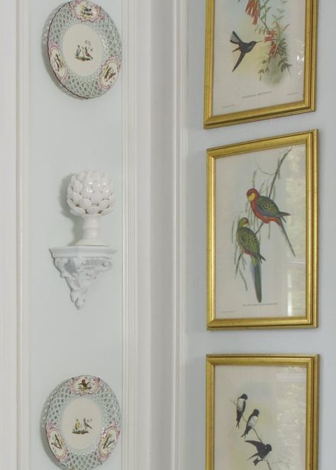 Plate Art Wall Decorating Ideas, French Wall Decor, Dining Room Images, Traditional Breakfast, Bird Plates, Dining Room Ideas, French Walls, Traditional Dining, Spring Birds