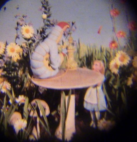 Alice In Wonderland - Viewmaster 12 Alice By Heart Aesthetic, Alice In Quantumland, Crazy Core Aesthetic, Alive In The Wonderland, Alice In Wonderland Core Aesthetic, Alice In Wonderland Pfp, Alice Through The Looking Glass Aesthetic, Alice In Wonderland Aesthetic Pfp, Dark Alice In Wonderland Aesthetic