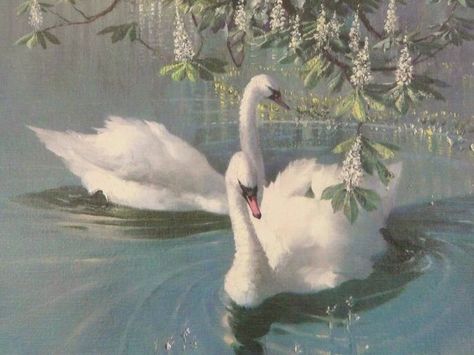 ❈ on Twitter: "harmony of spring done by Vernon Ward, 1958… " Arte Indie, Rennaissance Art, Ethereal Aesthetic, Royal Aesthetic, White Swan, Arte Sketchbook, Hozier, Princess Aesthetic, Romantic Art