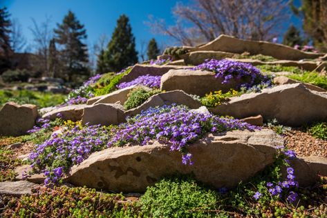 Consider hillside rock gardens Rock Hillside Landscaping Ideas, Hillside Rock Garden, Boulder Retaining Wall Ideas Hillside, Boulder Retaining Wall, Rock Garden Ideas, Image Rock, Denver Botanic Gardens, Hillside Landscaping, Front Yard Garden Design