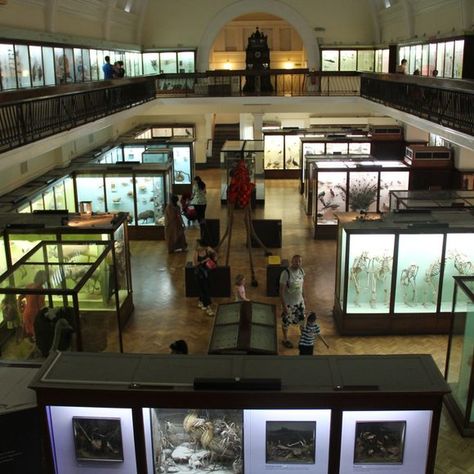 Horniman Museum and Gardens – London, England - Atlas Obscura Horniman Museum, London List, Museums In London, Moving To London, Trip To London, London Free, Uk London, Science Books, Year 1