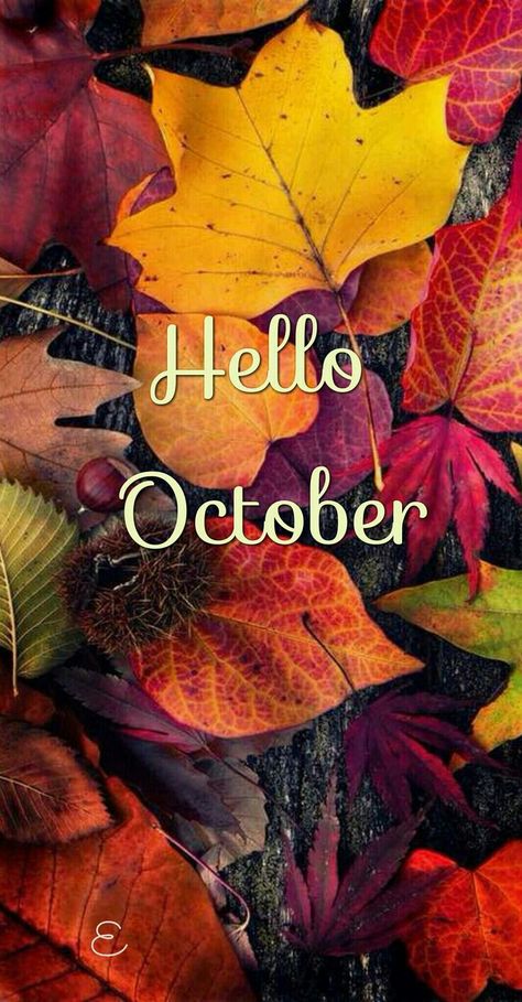 Hello October Images, October Images, October Pictures, Neuer Monat, Autumn Phone Wallpaper, October Wallpaper, Disney Background, Hello October, Iphone Wallpaper Fall