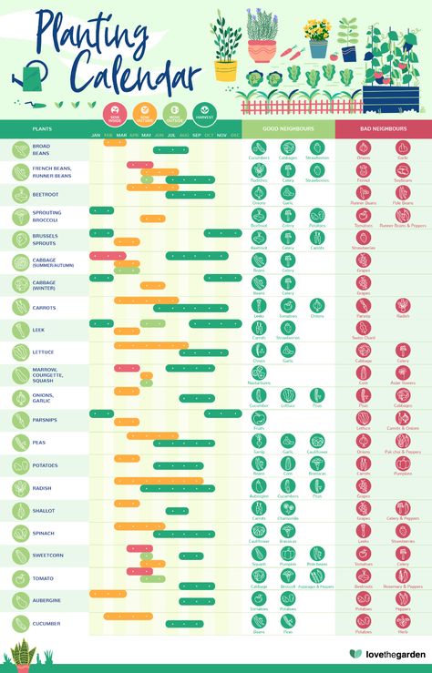 When to Plant Garden Calendar | Love The Garden What To Plant When, Texas Winter, Garden Winter, When To Plant Vegetables, California Winter, Winter Gardening, Planting Calendar, Veg Patch, Hospital Playlist