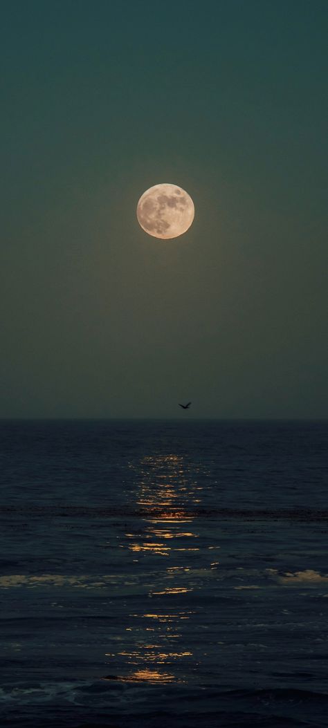 Moonlight reflection over sea Captured by: Gabriel Tovar. cropped mobile wallpaper 1080x2400 Moon Above The Sea, Full Moon Over Ocean, Soft Moon Aesthetic, Moon At Daytime, Moon And Sea Wallpaper, Selenophile Aesthetic Wallpaper, Selenophile Aesthetic, Moon On Water, Madi Core