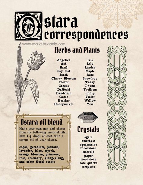 Learn all about Ostara meaning, correspondences, and rituals. Follow the link to get some ideas on how to celebrate Ostara this year! You can find things like Ostara traditions, altar, decorations, and more! Free printable for beginner witches. You can put it in your Book of Shadows, Grimoire, or a Witch's Journal. How are you going to celebrate Ostara? Ostara Meaning, Ostara 2024, Book Of Shadows Inspiration, Ostara Rituals, Ostara Goddess, Witchy Holidays, Spring Solstice, Ostara Ritual, Book Of Shadows Pdf