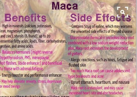 Maca Powder Benefits, Maca Recipes, Maca Smoothie, Maca Benefits, Maca Root Powder, Lemon Detox, Maca Powder, Maca Root, Thyroid Health