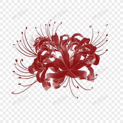 Higanbana The other shore flowers, flowers, decorative flowers, flowers, plant flowers, flowers Higanbana Flowers, Violet Aesthetic, Flowers Vector, Flowers Png, Transparent Image, Best Resolution, Decorative Flowers, Clipart Images, Png Transparent