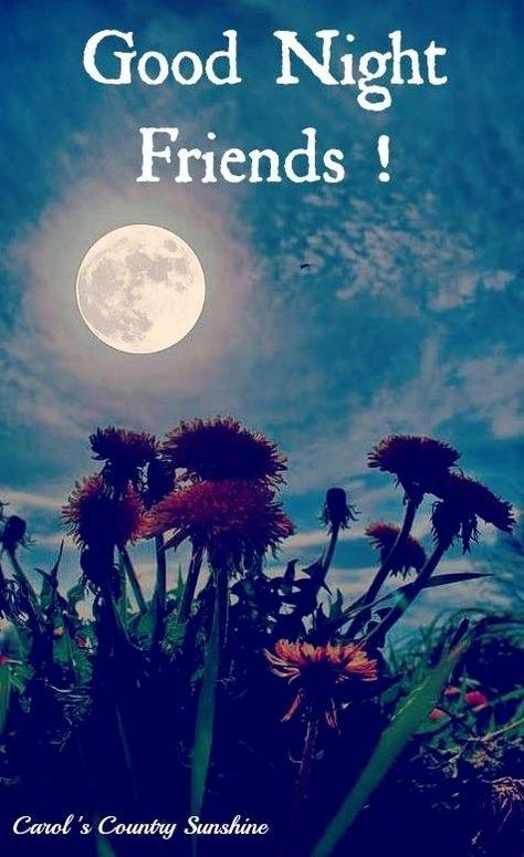 Good Night Friends Pictures, Photos, and Images for Facebook, Tumblr, Pinterest, and Twitter Good Night Friends Images Gif, Nighty Nighty, Nite Quotes, Goodnight Quotes For Friends, Goodnight Friends, Good Night Dear Friend, Shubh Ratri, Good Night Friends Images, Good Night Dear